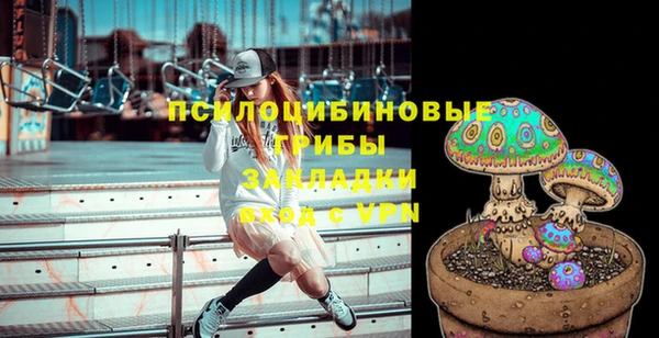MDMA Богородицк